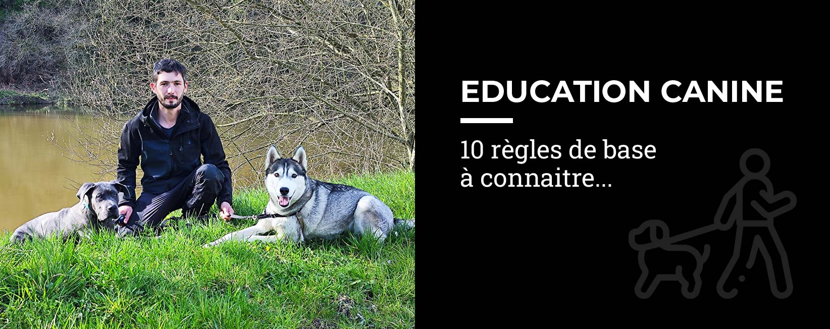 Conseils en éducation canine en Mayenne
