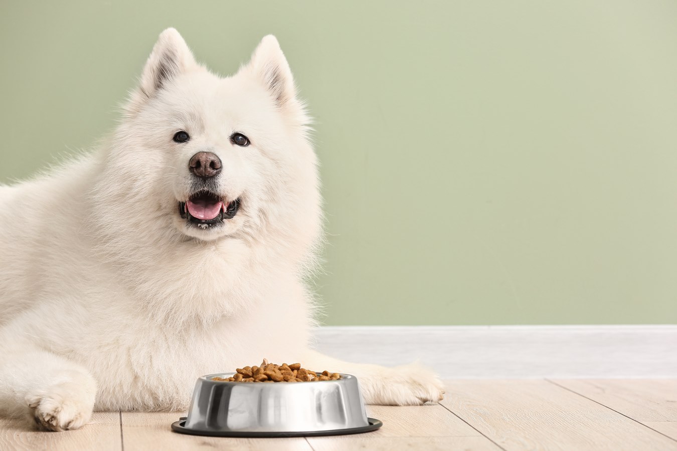 une alimentation