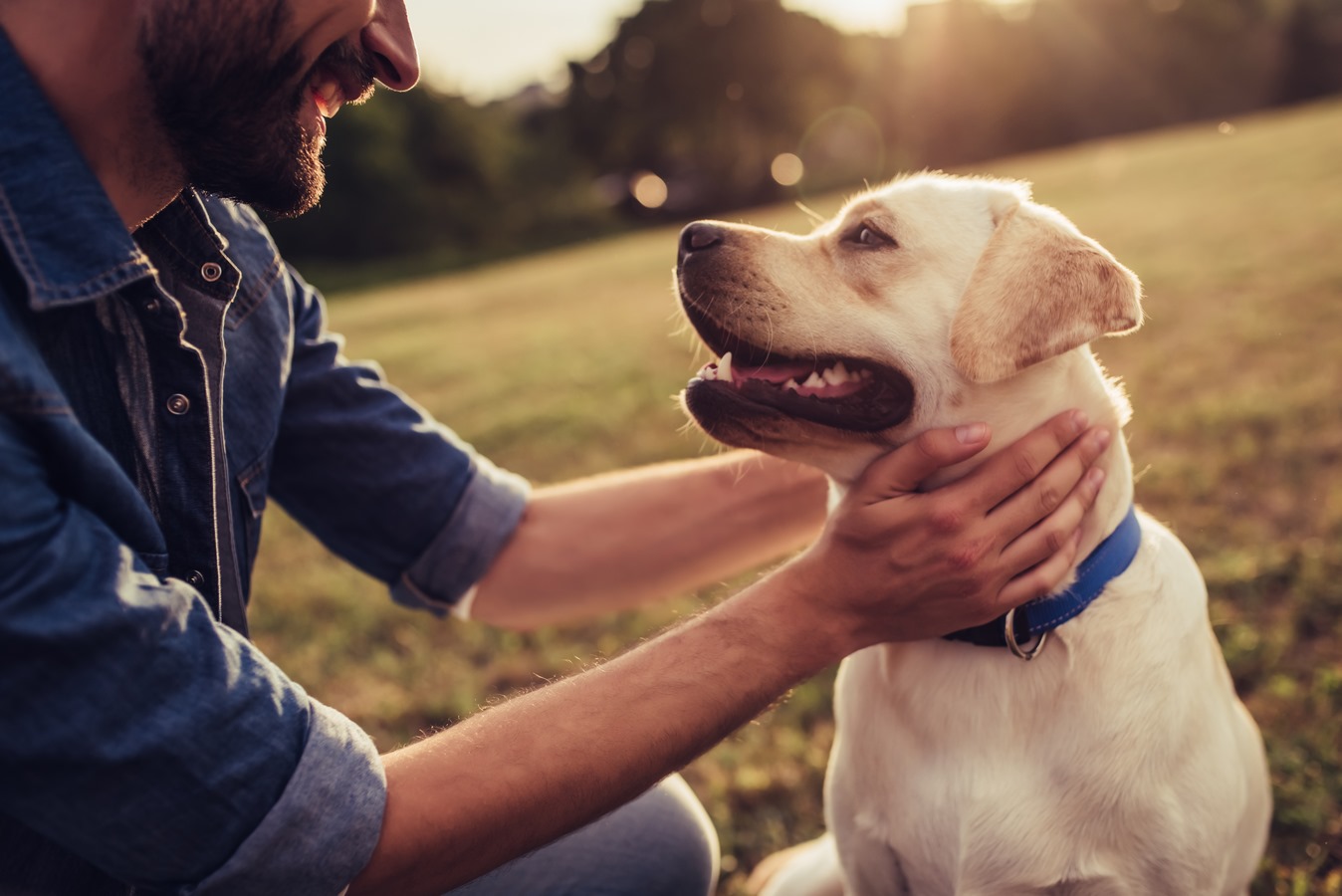 un homme avec un chien