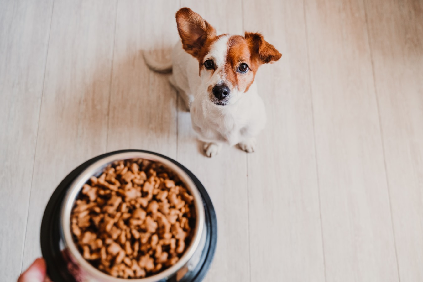 une alimentation